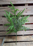 19" Faux Norfolk Pine and Cedar Stem