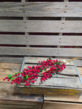 38" Red High Quality Berry Stem