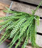 19" Plastic Button Fern Bush x7