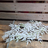 23" Flocked Greenery Stem