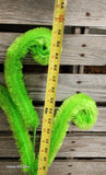 30" Lime Green Monster Fuzzy Curls