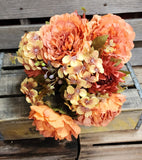 Orange/Bronze Peony Hydrangea Bush