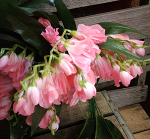 22" Silk Freesia Bush