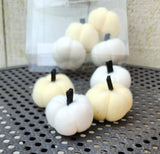 White and Cream Pumpkins