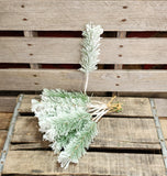 11" Flocked Pine Dozen