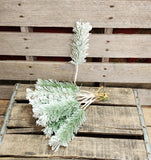 11" Flocked Pine Dozen