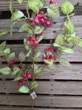 31" Iced Holly and Berry Stem
