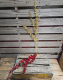 29" Glitter Eucalyptus Stem