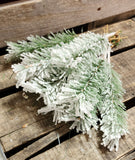 11" Flocked Pine Dozen