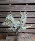 24" Flocked Fern Bush