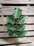 Silk Leatherleaf Fern Doz Stems- Silk Baker Fern