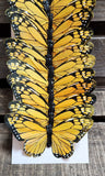 5" Monarch Feather Butterfly Doz