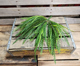 Plastic Button Fern Bush~ Beaded Grass Bush