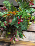 19" Mixed Holly Bush