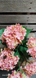 Silk Hydrangea High Quality bush