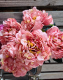 High Quality Peony Bush x 5 Heads