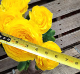 Large Silk Yellow Rannuculus