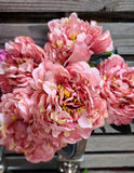 High Quality Peony Bush x 5 Heads