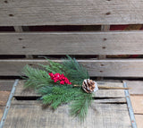 16" Mixed Pine Berry and Pinecone Stem
