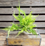 24" Platic Light Green Fern Bush x7