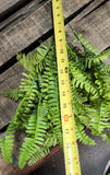 19" Plastic Fern Bush x9