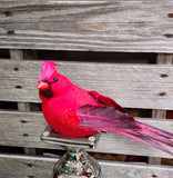 9" Large Artificial Cardinal