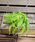 24" Platic Light Green Fern Bush x7