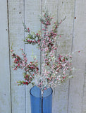 20" Frosted Greenery with Red Berries Stem