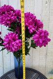 24" Purple Mum Bush x18