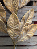 29" Gold Magnolia Stem