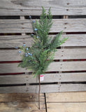 29" Cedar Bluberry Stem