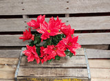 18" Color Fast Poinsettia Bush x9