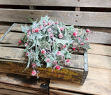 18" Frosted Holly Bush