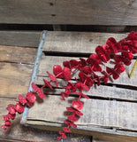 29" Glitter Eucalyptus Stem