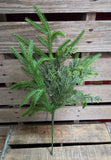 19" Faux Norfolk Pine and Cedar Stem