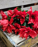 18" Color Fast Poinsettia Bush x9