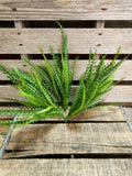 Plastic Button Fern Bush~ Beaded Grass Bush