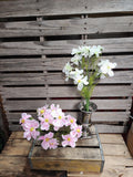 20" Silk Cosmo Bush