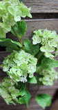 37" Real Feel Hydrangea Stem