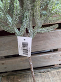 25" Norfolk Island Pine Stem