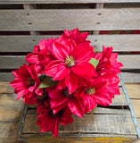 18" Burgundy Dahlia Bush