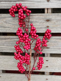 24" Red Berry Stem