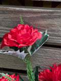 Red Carnation Mum and Berry Bush