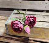 21" Burgundy Rose Stem