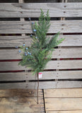 29" Cedar Bluberry Stem