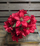 18" Burgundy Dahlia Bush