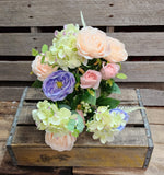 20" Peach Pink and Green and Lavender Rose Hydrangea Bush x14