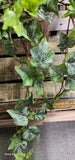 Veined Ivy Bush Weather Resistant