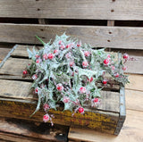 18" Frosted Holly Bush