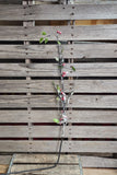 50" Flocked Branch with Berries